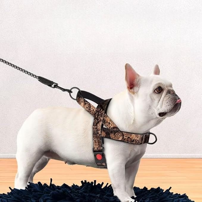 Harnais pour chien - DogSafeHarness™ - Noir Doré - Amour de chien