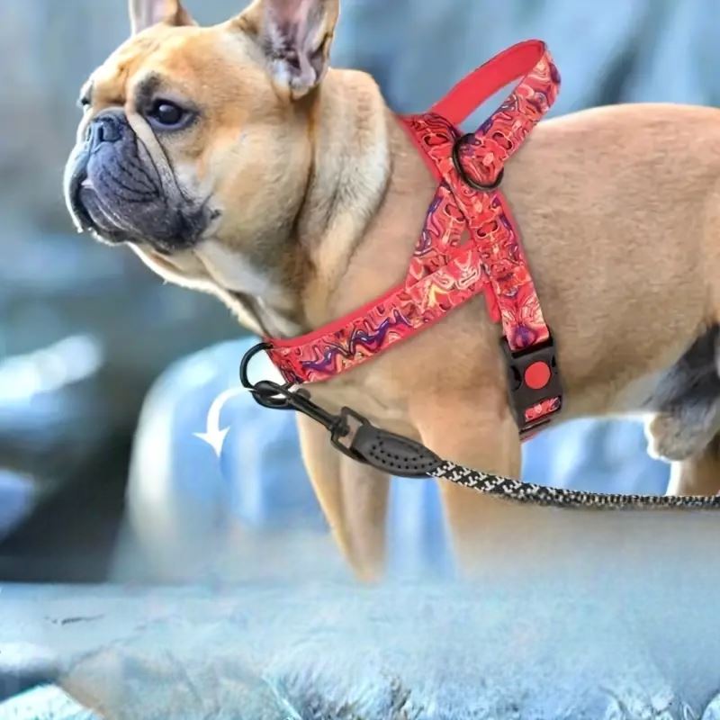 Harnais pour chien - DogSafeHarness™ - Rouge - Amour de chien