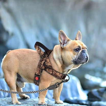 Harnais pour chien - DogSafeHarness™ - Noir Doré - Amour de chien
