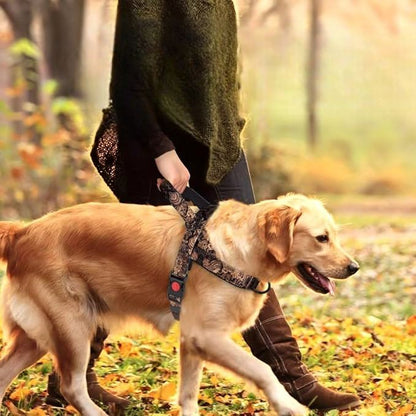 Harnais pour chien - DogSafeHarness™ - Noir Doré - Amour de chien