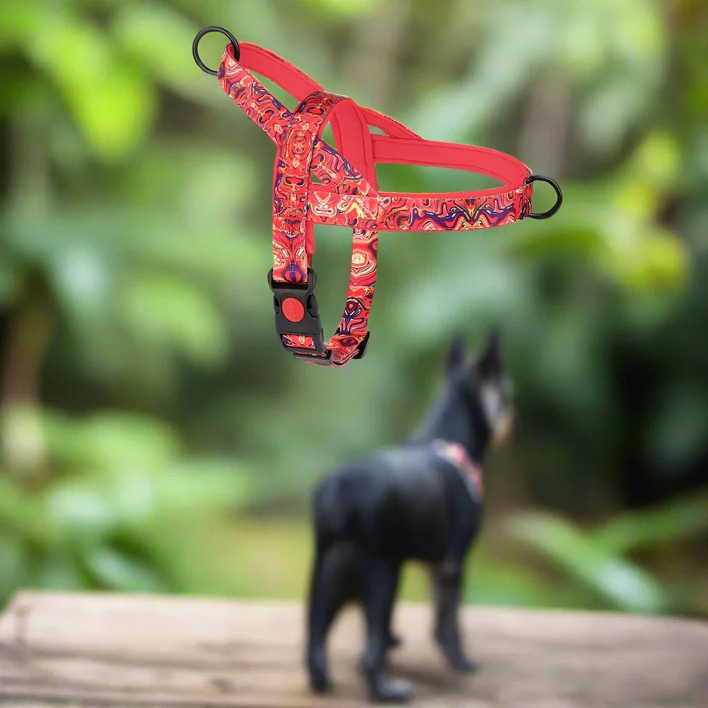 Harnais pour chien - DogSafeHarness™ - Rouge - Amour de chien