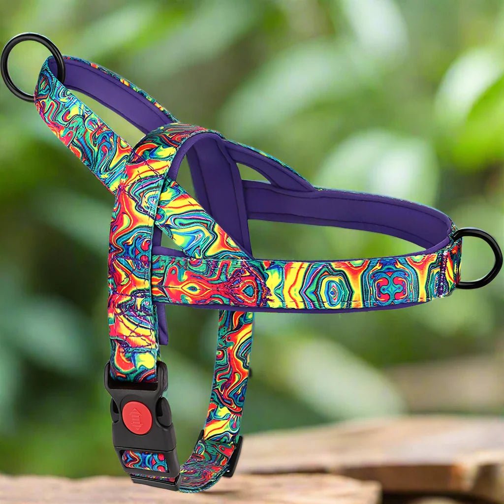 Harnais pour chien - DogSafeHarness™ - Violet - Amour de chien