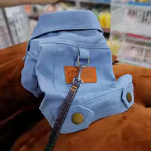 Manteaux pour chien | Imperméable Hiver