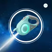 Laisse chien enrouleur