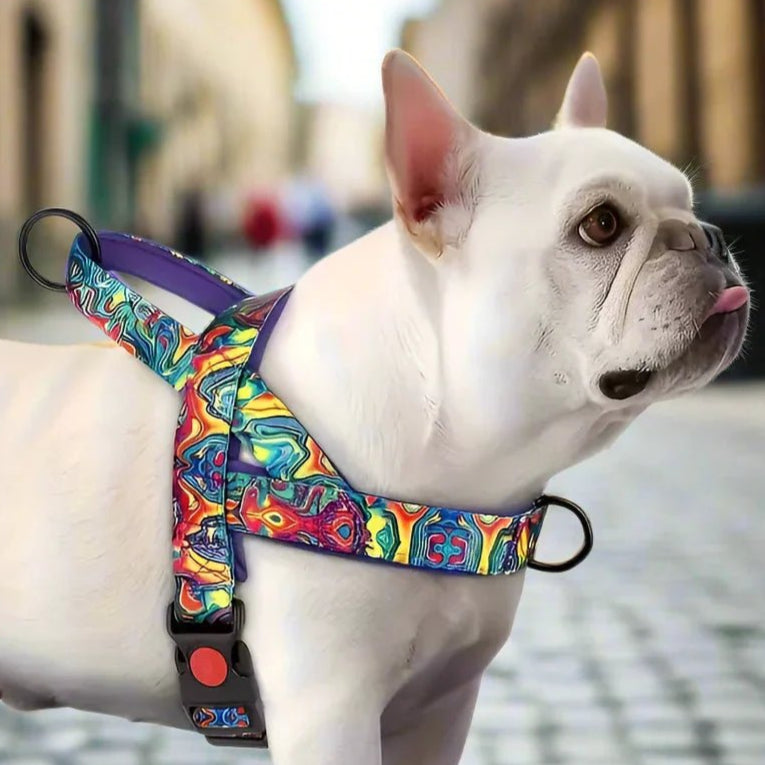 Harnais pour chien - DogSafeHarness™ - Violet - Amour de chien