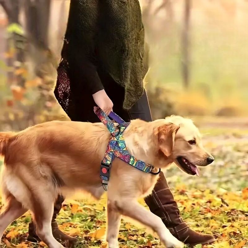 Harnais pour chien - DogSafeHarness™ - Violet - Amour de chien