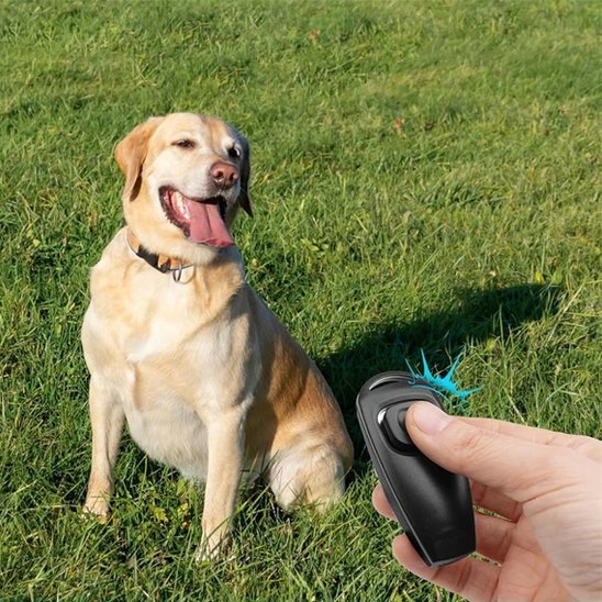 Clicker chien | Premium Trainer - Amour de chien