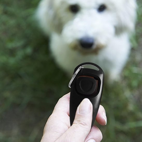 Clicker chien | Premium Trainer - Amour de chien
