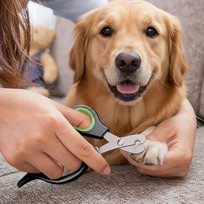 Coupe griffe Chien | SécuriTaille - Amour de chien