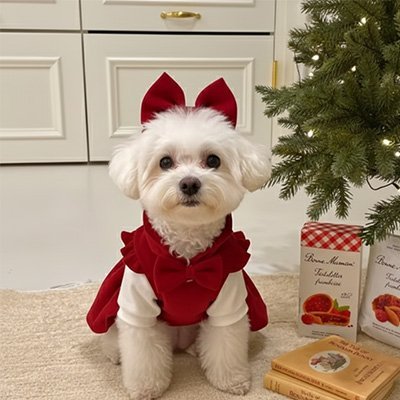 Déguisement chien | Confort Adorable - Amour de chien