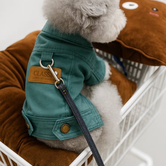 Manteau chien | Imperméable Hiver - Amour de chien