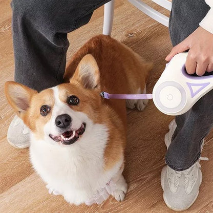 Laisse chien enrouleur