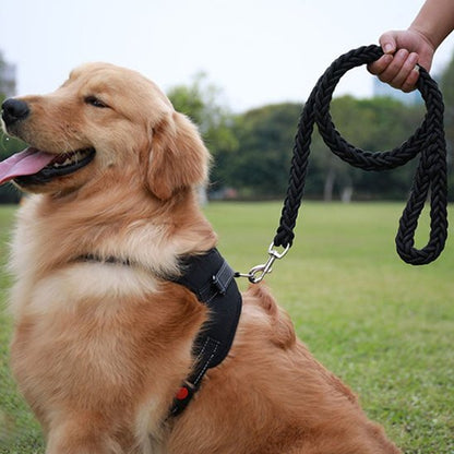 Laisse chien | Robuste et tressée - Amour de chien