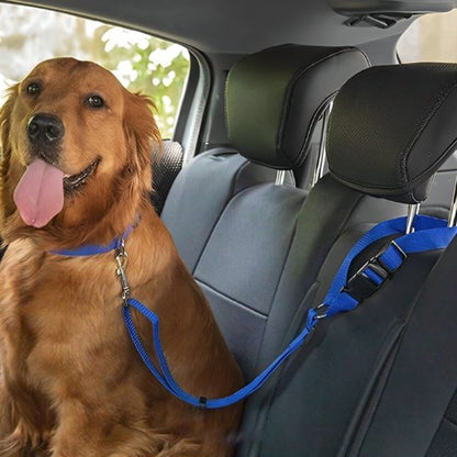 Laisse de chien | car sécurite - Amour de chien