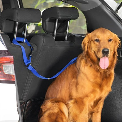 Laisse de chien | car sécurite - Amour de chien