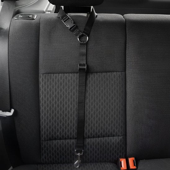 Laisse de chien | car sécurite - Amour de chien