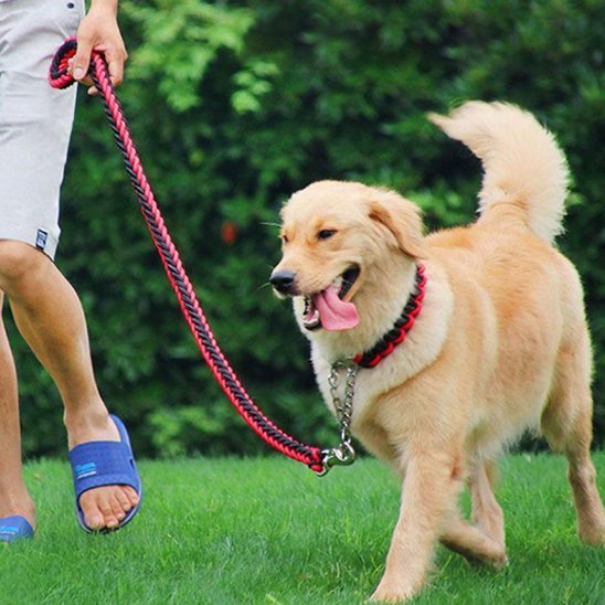 Laisse chien | Robuste et tressée - Amour de chien
