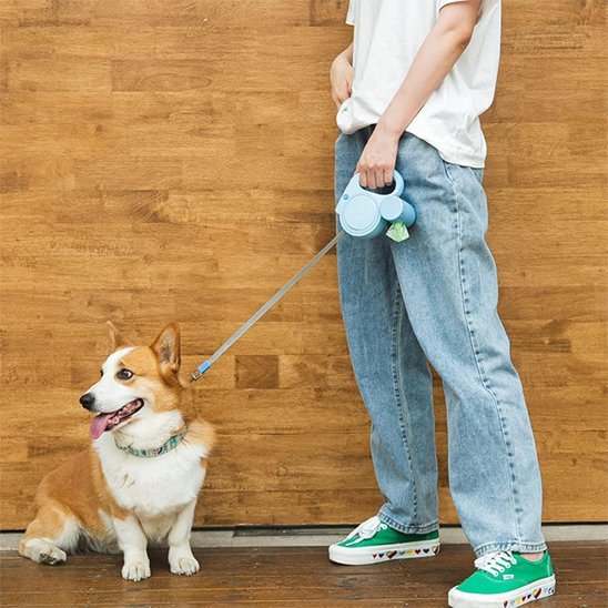Laisse pour Chien | Confort Sécurisé - Amour de chien