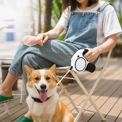 Laisse pour Chien | Confort Sécurisé - Amour de chien