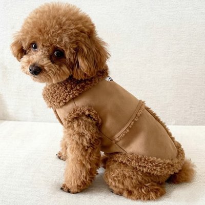 Manteau Chien Imperméable | HiverProtect - Amour de chien
