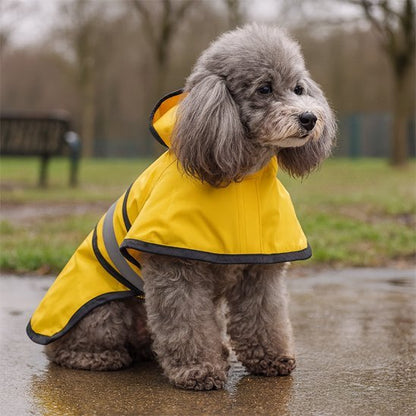 Manteau pour chien | ImperChaud - Amour de chien