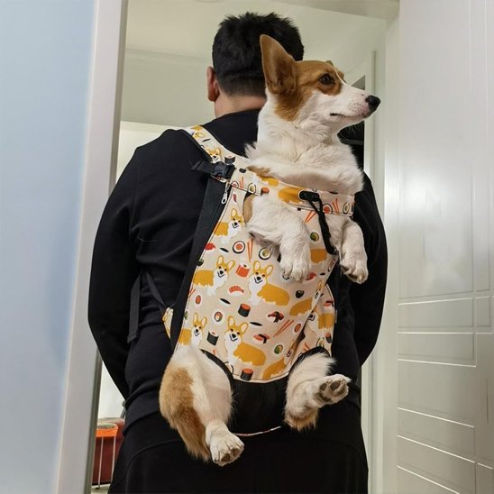 Sac de transport chien | Ergonomique - Amour de chien