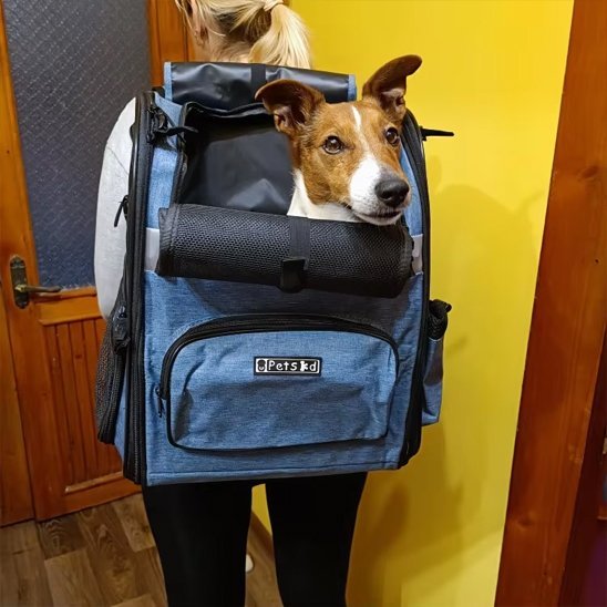 Sac de transport pour chien | Comfort Travel - Amour de chien