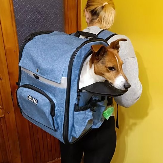 Sac de transport pour chien | Comfort Travel - Amour de chien