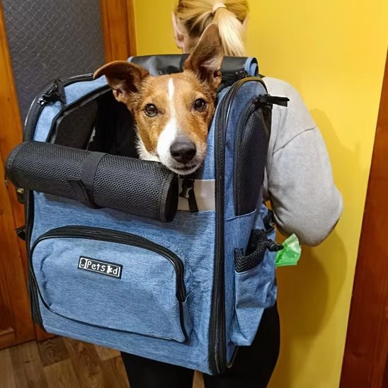 Sac de transport pour chien | Comfort Travel - Amour de chien