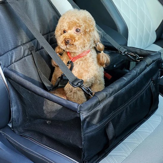 Siege auto pour chien | Securitrip - Amour de chien