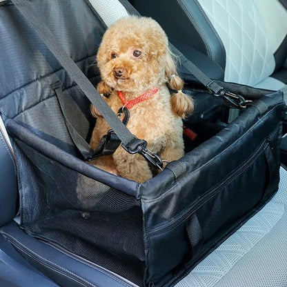 Siege auto pour chien | Securitrip - Amour de chien